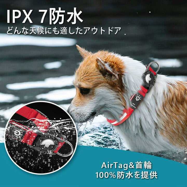 LED Dog Collar with AirTag Holder